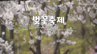 24학년도 광신방송예술고등학교 벚꽃축제(24.04.05)