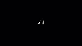 #القرآن الكريم #الْإِسْلَامُ 🤍🤍