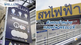 สหไฟฟ้าเชียงใหม่┃Wellux Partner┃Wellux Thailand