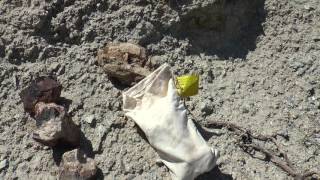 Internet Gold Miner Episode #2