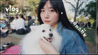 🇹🇼帶狗狗去華山野餐+跑跑 🐶| Tingting Daily