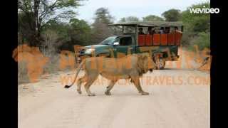 Kruger Park Safari Zuid-Afrika | KRUGER PARK SAFARI SOUTH-AFRICA