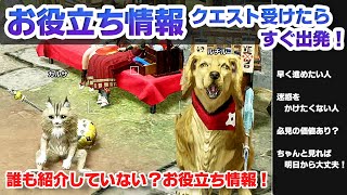 【MHRise】お役立ち情報 クエスト受けたらすぐ出発！【モンハンライズ】