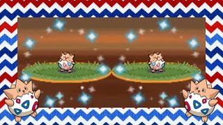 [LIVE] 2 Shiny Togepis BACK-TO-BACK in Platinum after 40 Radar Chain!