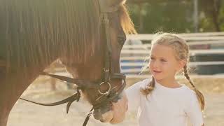 The Versatile Tennessee Walking Horse: Unleashing Potential