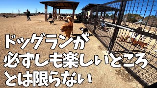 犬社会も厳しいようです。