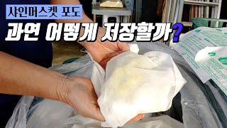 샤인머스켓! 어떻게 저장할까? [맛있는 샤인머스켓 만들기] / 유황패드