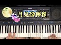 月兒像檸檬 yamaha 電子琴演奏 sx900 學習紀錄