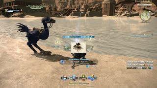 【FF14】ステタカントゥス 釣り上げ【漁師】