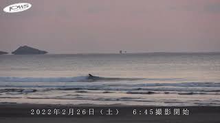 2/26（土）お倉ヶ浜波情報