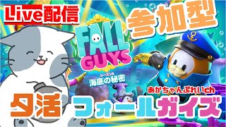 【参加型 / Fall Guys】表スクワッド　裏①リリリTAとクラーケン部屋コード【​終了】【スナイプ歓迎 / フォールガイズ】※3回交代