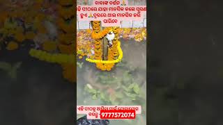 ଯୋଗାଯୋଗ କରନ୍ତୁ🙏🔱🕉️🙏🔱🕉️9777572074