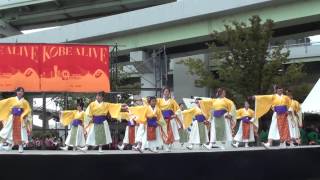 彩高知組　 2015KOBE ALIVE みなとのもりステージ　1日目