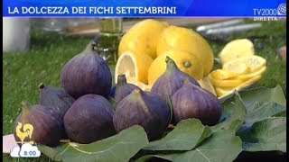 La dolcezza dei fichi settembrini