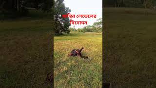 অস্থির লেভেলের বিনোদন #viralvideo #viralshorts#funnyvideo