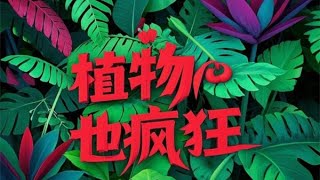 植物也疯狂一键生成绿色奇观