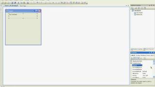 Using Controls with Visual Basic 2008