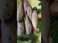 Fish Soups For Rainy Days #satisfying #asmr#short