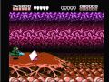 Battletoads Level 3:  Turbo Tunnels