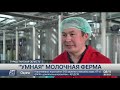 Как работает «умная» молочная ферма