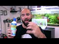 Aquascape Tutorial ULTIMATE BETTA Nano Tank For Beginners (How To No co2 Planted Tank Step by Step)