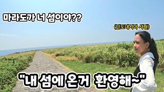 인도네시아 소녀가 마라도가 자기 섬이라는 발언을..... (ft. 제주도에서 꼭 먹어봐야하는 말고기!!)