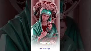 #romancatholic வேளைநகர் காட்சி தந்த வேளாங்கண்ணி போற்றி மாதா பாடல் madha song whatsapp status video