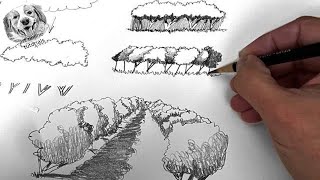 Landscape drawing with pencil for beginners : 3 Easy Ways to draw a forest