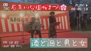 お花見会場のお酒の席で『酒と泪と男と女』を歌ったよ🎤　ホリィナ　石手川公園さくらまつり　2023/4/1 #河島英五　#昭和の名曲