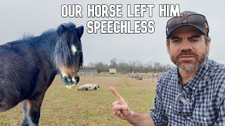 Lifelong Horse Expert Could Not Believe This About Our Mini Horse Pocket!