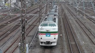 【団体列車】189系M52　カナロコ臨