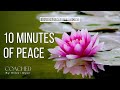 10 Minute Guided Meditation For The Heart ❤️ | Self Love & Inner Peace