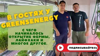 Ситиферма Greens Energy | из медицины в ситифермеры | бизнес Микрозелени