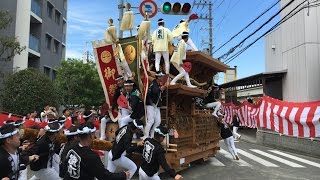 平成28年 鳳だんじり祭り 旧ドット前交流会 全やりまわし 2016/10/07(金)