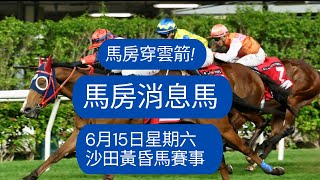 馬房消息馬..!! 15/6/2024 (星期六) 沙田黃昏馬賽事 !! [香港賽馬][賽馬] [賽馬貼士]