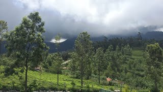 Travelogue🦋|| Ooty Hill Station🌸|| Golden glimpses❤