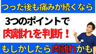 【つった後も痛みが残る方へ】こむら返り後も痛いなら肉離れかも？【整骨院の先生が伝授】