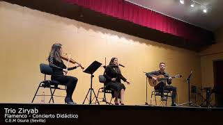 Trio Ziryab Flamenco - Concierto Didáctico