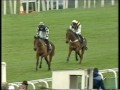 1999 cantor fitzgerald long walk hurdle