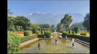 The Imperial Gardens of Kashmir - Courtly & Cultural Spaces of the Mughal Empire by Ms Abha Lambah