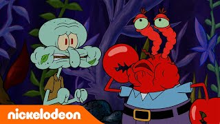 سبونج بوب | سبونج بوب يعلق في الغابة! | Nickelodeon Arabia