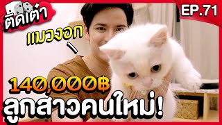 ติดเต๋า EP.71 | มารับลูกสาวคนใหม่... แมวขาสั้นตัวเป็นแสน!!