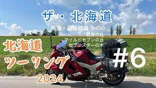 【北海道ツーリング2024】 #6 ザ・北海道　美瑛・富良野編その① 夏の美瑛は見どころ満載でした