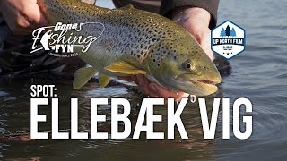 Spotguide: Ellebæk Vig  // Gone Fishing TV