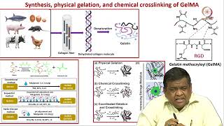 Lec 36 Scientific case study-3D extrusion bioprinting of GelMA hydrogels for hard tissue