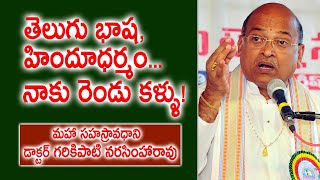 తెలుగు భాష, హిందూధర్మం, నాకు రెండు కళ్ళు! | Dr. Garikipati Narasimha Rao | Speech | Kopparapu Kavulu