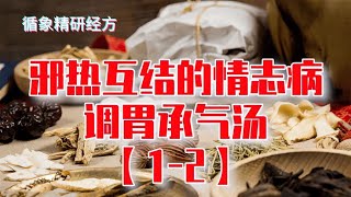 腑气热结，谵语心烦，谈邪热互结的情志病（一）调胃承气汤（2）