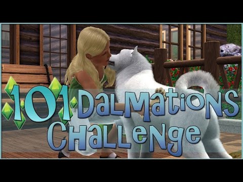 A New Stray Dog for the Pet Rescue!! • Sims 3: 101 Dalmatians Challenge - Episode #92 A New Stray Dog for the Pet Rescue!! • Sims 3: 101 Dalmatians Challenge - Episode #92