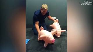 Awkward moment Shane Warne reveals his favourite position with pig game