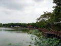 新營天鵝湖環保水上公園